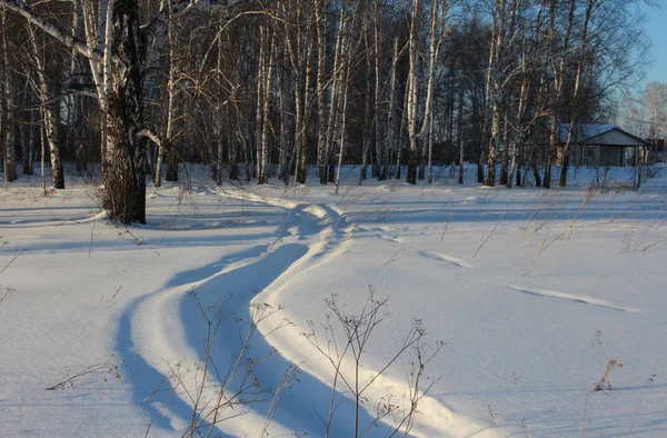 Kış Seyahat Kışın Sürüklenenler Ile Dar Yol Sibirya Ormanı Kar — Stok fotoğraf