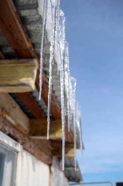 evin çatısında buz sarkıtları damla ile bahar ışıltı eritir