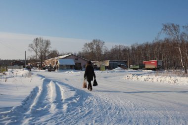 Rusya, Novosibirsk, 12 Ocak 2019: Sibirya kırsal yerleşimköy yaşamında kışın ağır çanta taşıyan kadın