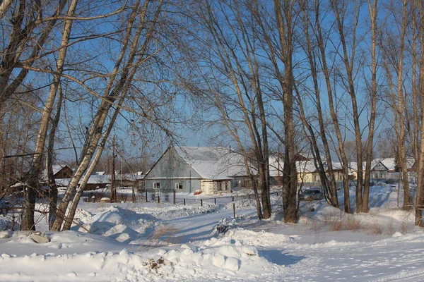 rural landscape house among the trees in the village in winter