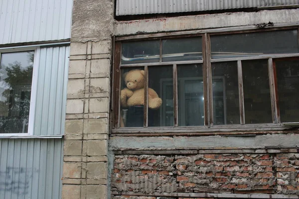 Balkonun camının arkasındaki yumuşak oyuncak ayı kendini izole eden apartmandan dışarı bakıyor.