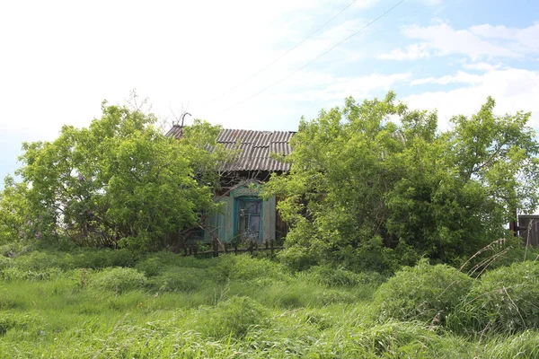 Ein Altes Verlassenes Holzhaus Einem Dorf Einem Gebüsch — Stockfoto