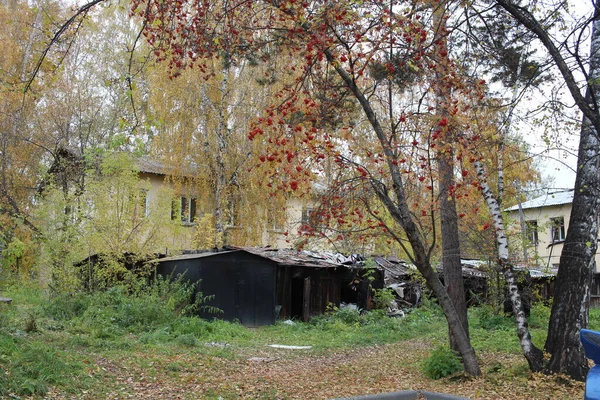 Vecchi Garage Costruiti Nei Cespugli Nel Cortile Autunno — Foto Stock