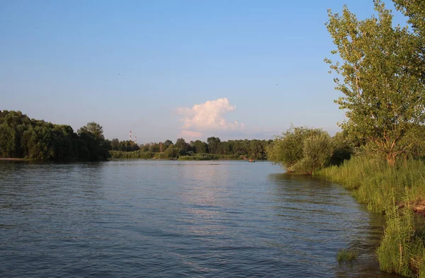 Bahía Río Verano Para Pesca Naturaleza Lago — Foto de Stock