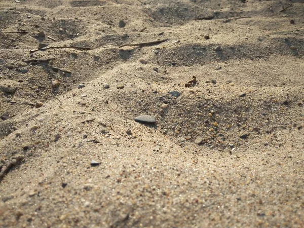 Písek Pláži Létě Moři Pozadí — Stock fotografie