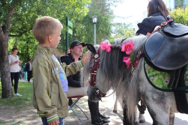 Rusya, Novosibirsk 30.06.2019: Sokakta at midillisini okşayan bir çocuk