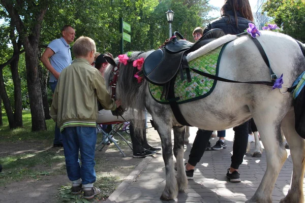 Rusya, Novosibirsk 30.06.2019: Sokakta at midillisini okşayan bir çocuk