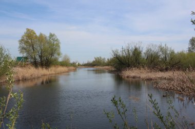 İlkbaharda kurak çimenlerin arasında nehir deposu.