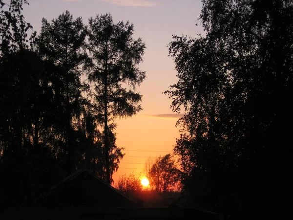 Zachód Słońca Wieczorem Wśród Sylwetek Drzew Jasnym Kolorowym Niebie — Zdjęcie stockowe