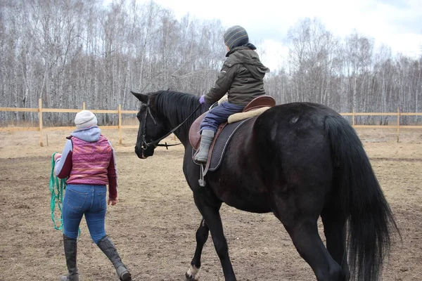 Россия Новосибирск 2019 Девочка Тренер Учит Ребенка Ездить Лошади — стоковое фото