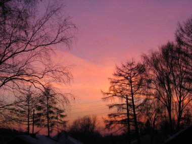 Ağaçların üzerinde parlak gün batımı