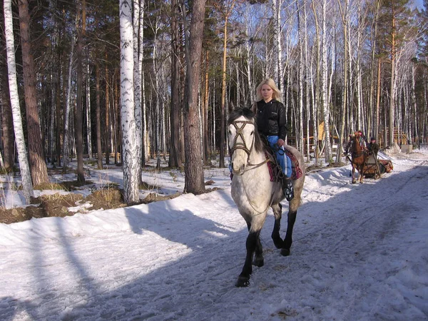 Rússia Novosibirsk 2009 Uma Menina Cavalgando Parque Inverno — Fotografia de Stock