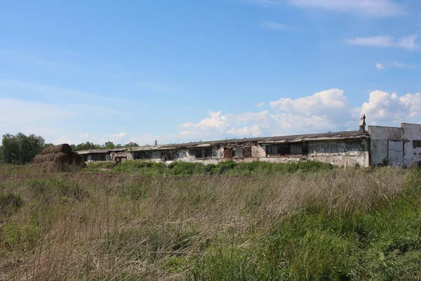 Zniszczone Opuszczone Ruiny Starego Gospodarstwa Niemieszkalnych Pomieszczeń Trawie — Zdjęcie stockowe
