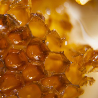 peteğin arı sarı tatlı bal