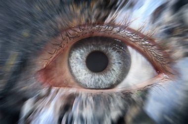 bir insan gözü ile doğa arka plan