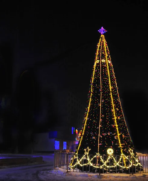 Arbre Noël Nuit — Photo