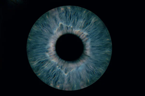 Human blue eye iris. Pupil in macro on black background