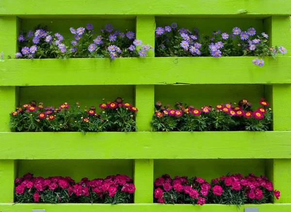 Green wooden planter with different colored flowers