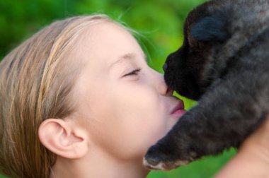 Küçük kız çimlerin üzerinde Amerikan akita köpeğine sarılıyor. Portreyi kapat