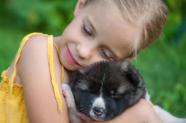 Pequena Menina Abraça Filhote Cachorro Americano Akita Cão Grama Fechar — Fotografia de Stock