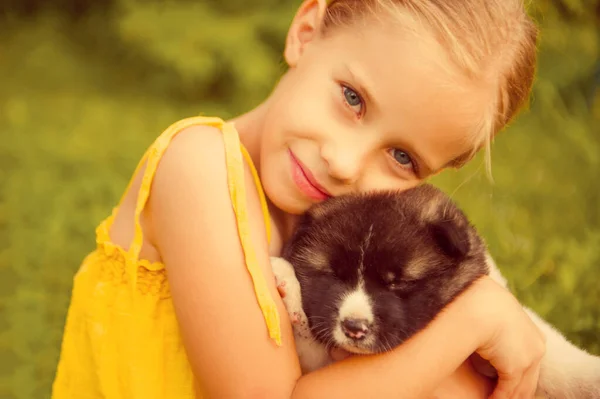 Small Girl Hugs Puppy American Akita Dog Grass Close Portrait — Stock Photo, Image