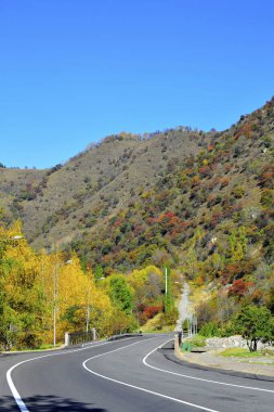 Sonbahar günü renkli ağaçlar. Kırmızı yeşil sarı orman