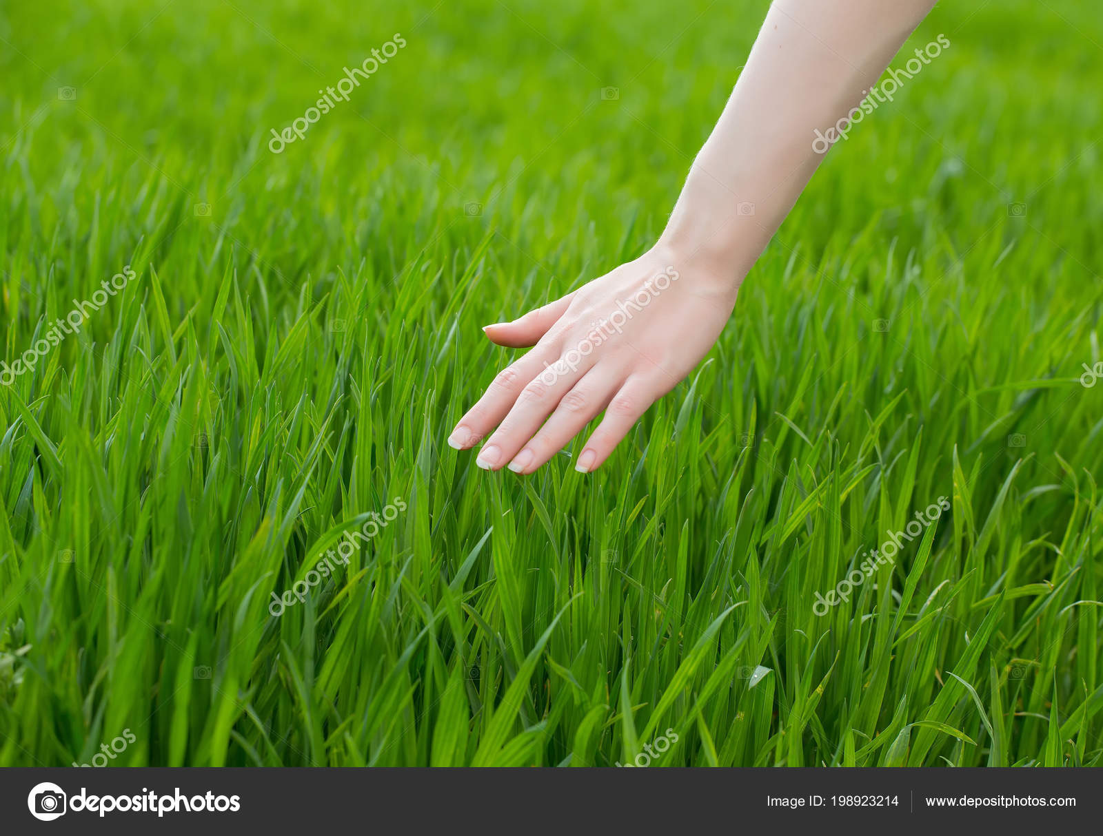 Portrait of woman touching grass Stock Photo - Alamy