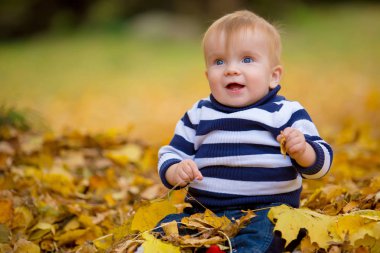 küçük oğlu sarı sonbahar park