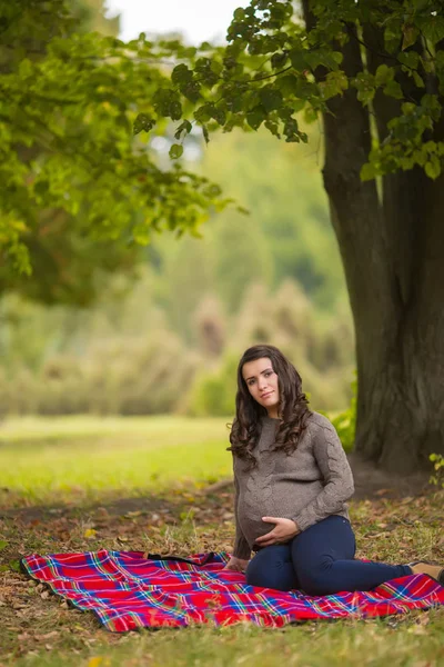 Joven Morena Embarazada Con Lazo Rojo Vientre Posando Sobre Cuadros —  Fotos de Stock