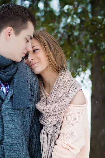 Glückliches Junges Paar Umarmt Sich Winterpark — Stockfoto