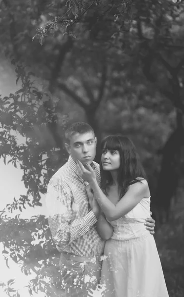 Pareja Feliz Abrazándose Parque Verano Blanco Negro — Foto de Stock