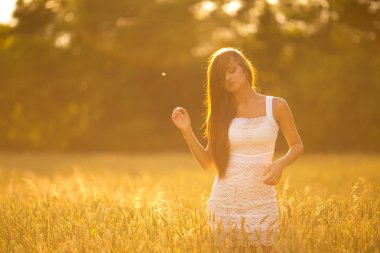 Yaz buğday alanında poz güzel genç