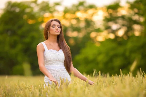 Bela Mulher Jovem Posando Campo Trigo Verão — Fotografia de Stock