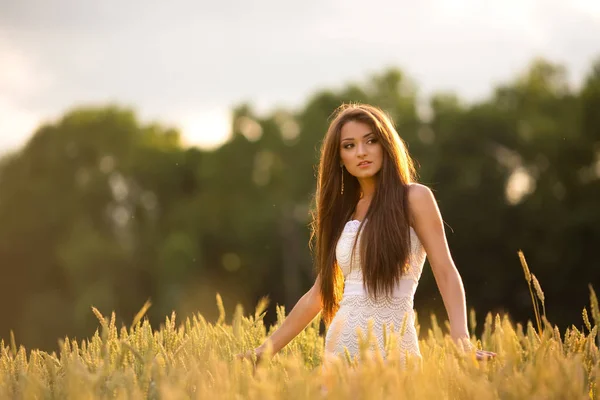 Belle Femme Jeune Posant Dans Champ Blé Été — Photo