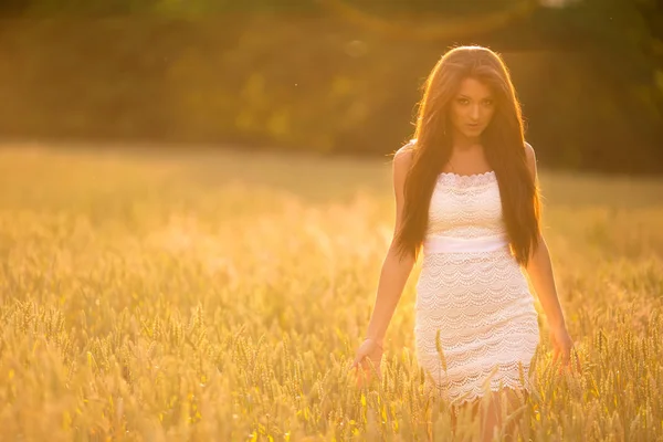 Bela Mulher Jovem Posando Campo Trigo Verão — Fotografia de Stock