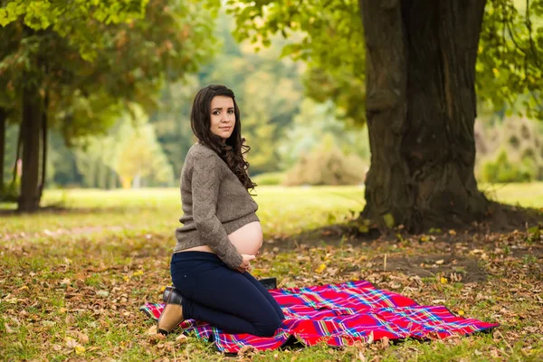 Giovane Donna Incinta Bruna Con Fiocco Rosso Sulla Pancia Posa — Foto Stock