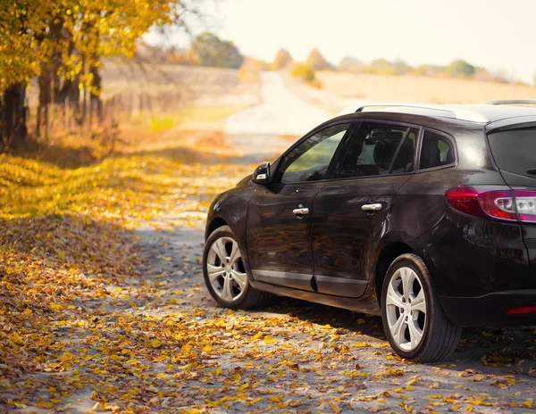 Coche Naturaleza Primeros Planos Ruedas Neumáticos Cerca Del Parque Otoño Fotos de stock libres de derechos