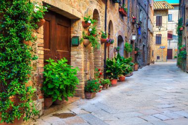 Majestic geleneksel sokak renkli çiçekler ve kırsal rustik evlerin, Pienza, Toskana, İtalya, Europe ile dekore edilmiştir.