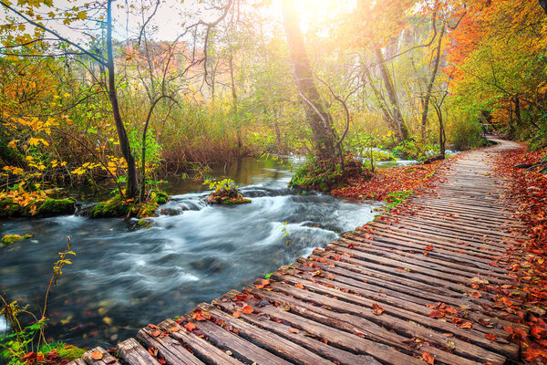 Beautiful touristic wooden pathway in the colorful autumn deep forest with clean brook, Plitvice National Park, Croatia, Europe