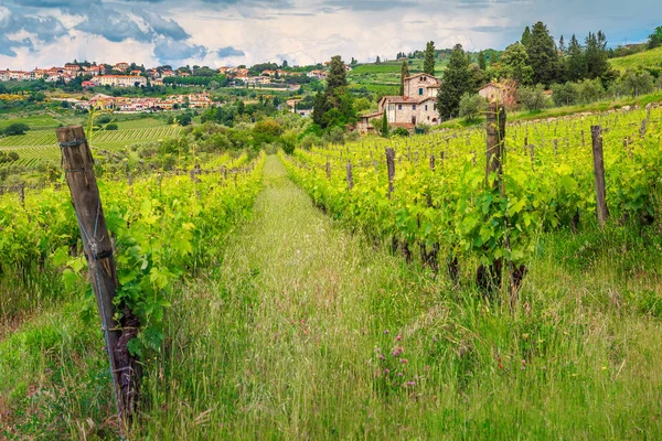 Tipik taş evleri ve çarpıcı bağ, Panzano Chianti, Toskana, İtalya, Avrupa ile fantastik cityscape