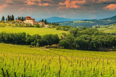 Tipik Tuscany taş ev muhteşem üzüm bağıyla Chianti bölge, Toskana, İtalya, Europe