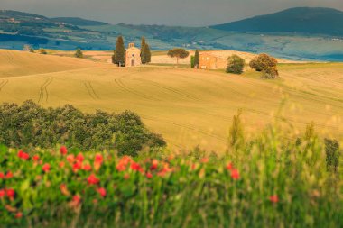 Harika bir Tuscany yer, ünlü Vitaleta Şapel (Capella di Vitaleta) ile tahıl alanları San Quirico D'Orcia, Toskana, İtalya, Europe