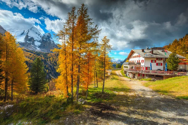 驚くほどカラフルな秋の風景 色鮮やかな木々 と背景 ドロミテ 南チロル イタリア ヨーロッパで高い雪山の山小屋 — ストック写真