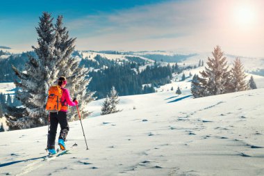 Yüksek alp peyzaj karlı ağaçları ile Tur kayağı. Macera, kış aktiviteleri, skitouring muhteşem dağları, Transilvanya, Karpatlar, Romanya, Europe