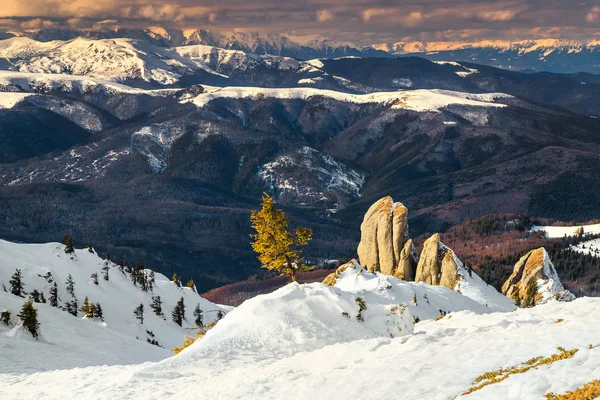 Удивительный Солнечный Зимний Пейзаж Снежные Горы Горы Сьюкас Карпаты Трансильвания — стоковое фото