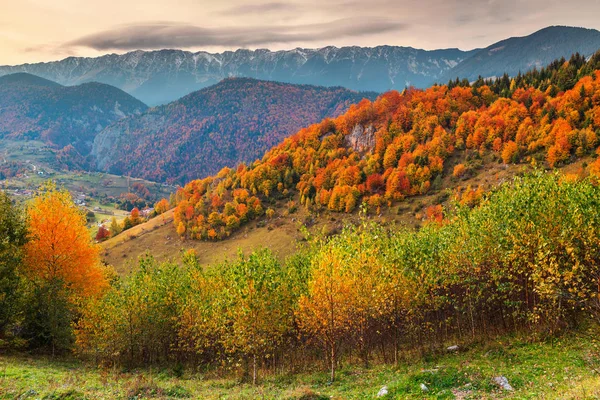 Magnifique Paysage Automne Village Rural Forêt Colorée Avec Hautes Montagnes — Photo