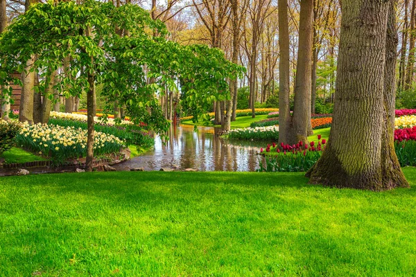 Приголомшливий Краєвид Весни Захоплює Дух Квітковий Парк Кекенхоф Сад Свіжих — стокове фото