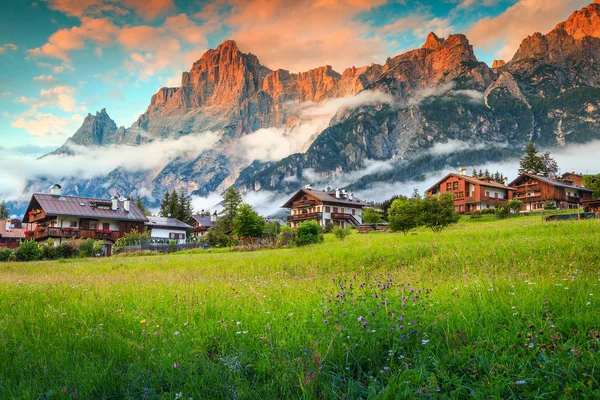 Märchenhafter Gebirgsort Den Dolomiten Bunte Frühlingsblumen Mit Hohen Nebligen Bergen — Stockfoto