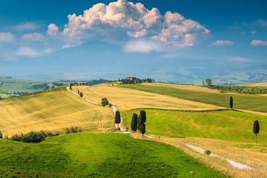 Tuscany'de bahar tarım manzara. Fantastik agrotourism ve selvi, Pienza turistik köy, İtalya, Europe yakınındaki olan tipik eğri yol