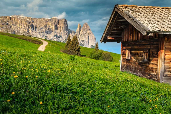 Alpe Siusi Seiser Alm Com Sciliar Schlern Grupo Montanha Segundo — Fotografia de Stock